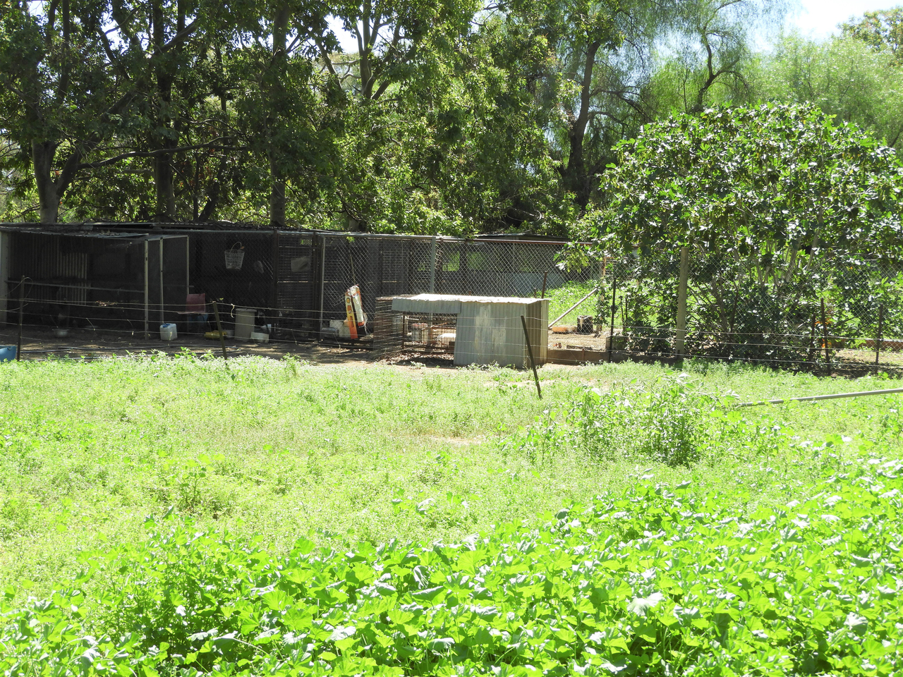 3-bedroom unit at 45 HILTON LANE, Warren NSW 2824, Warren, New South Wales