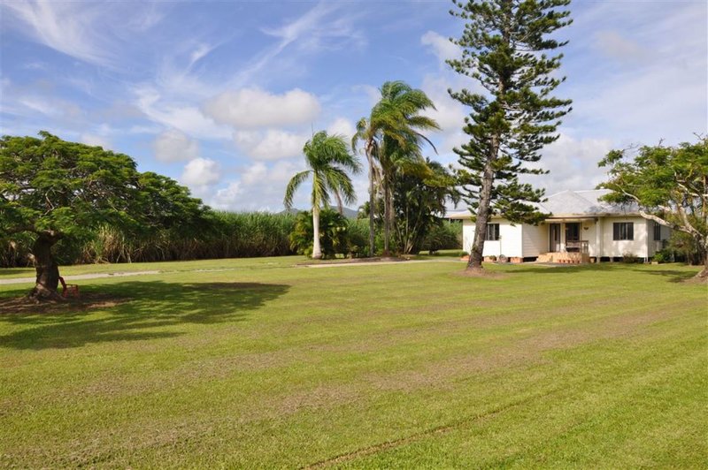 Photo - 45 Kellys Road (Farm 1) , Marian QLD 4753 - Image 2