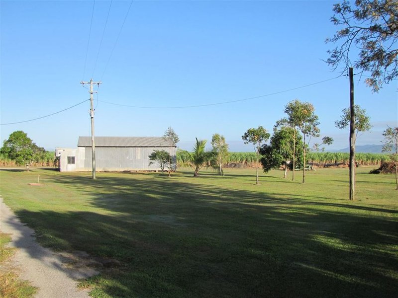 Photo - 45 Kellys Road (Farm 1) , Marian QLD 4753 - Image 11