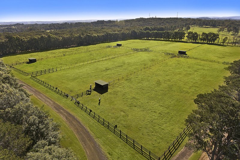 Photo - 45 Lackersteens Road, Somersby NSW 2250 - Image 4