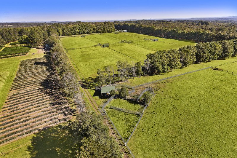 Photo - 45 Lackersteens Road, Somersby NSW 2250 - Image 7