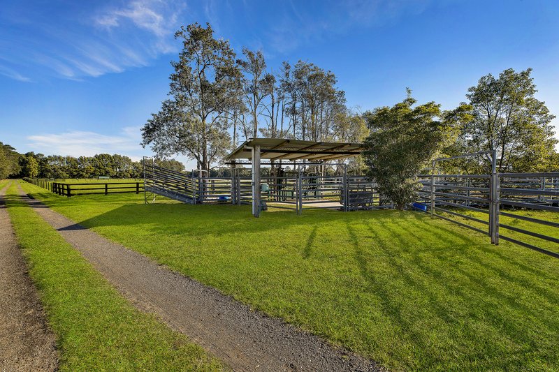 Photo - 45 Lackersteens Road, Somersby NSW 2250 - Image 8