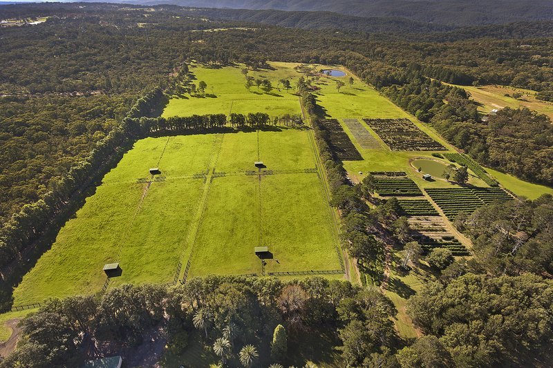 Photo - 45 Lackersteens Road, Somersby NSW 2250 - Image 13