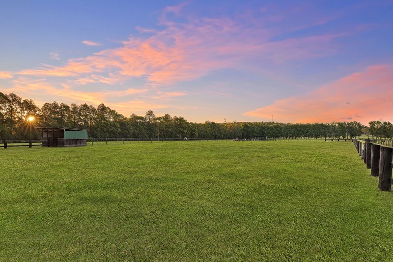 Photo - 45 Lackersteens Road, Somersby NSW 2250 - Image 14