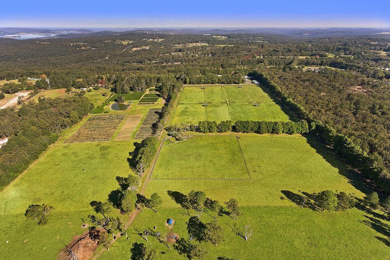 Photo - 45 Lackersteens Road, Somersby NSW 2250 - Image 15