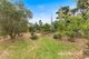 Photo - 45 Mcdonalds Drain Road, Koo Wee Rup VIC 3981 - Image 21