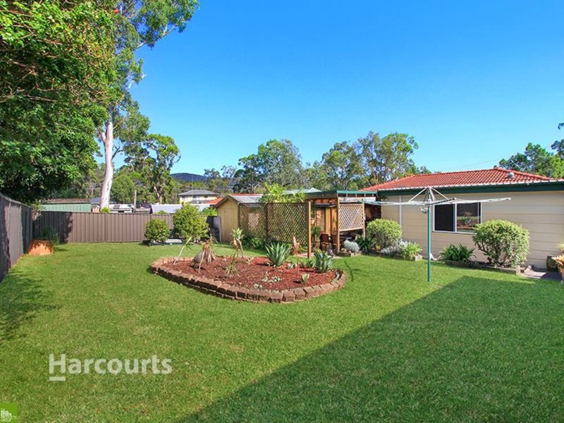 Photo - 45 Melaleuca Avenue, Avondale NSW 2530 - Image 7