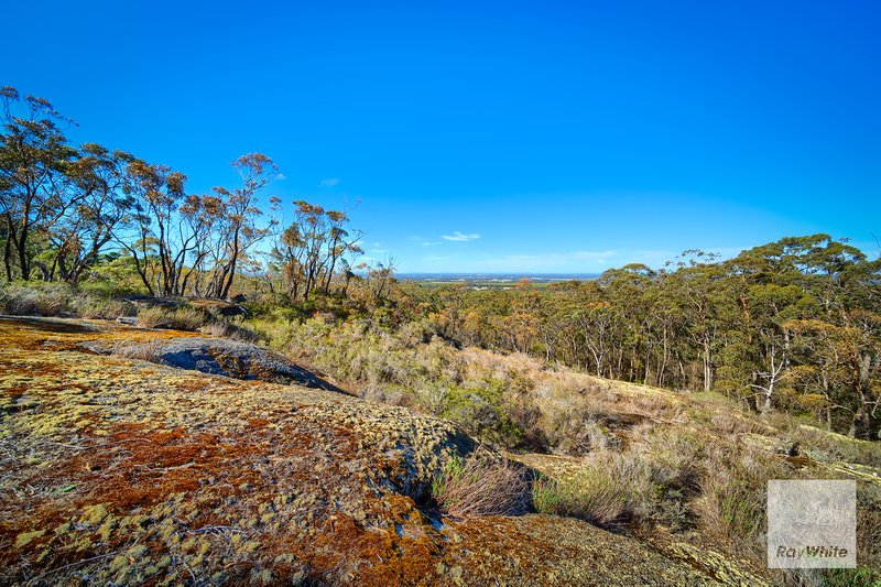 Photo - 45 Millinup Pass Road, Porongurup WA 6324 - Image 30