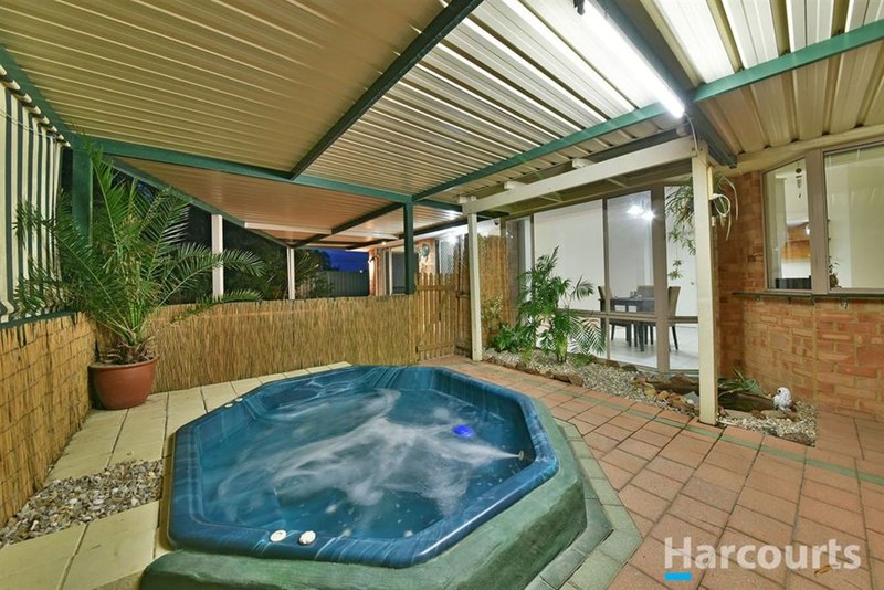 Photo - 45 Mint Circuit, Banksia Grove WA 6031 - Image 5