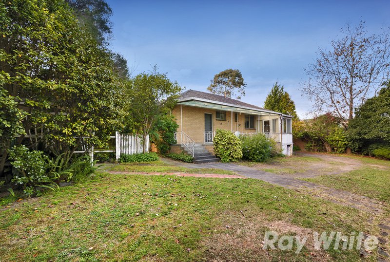 Photo - 45 Myers Avenue, Glen Waverley VIC 3150 - Image 9