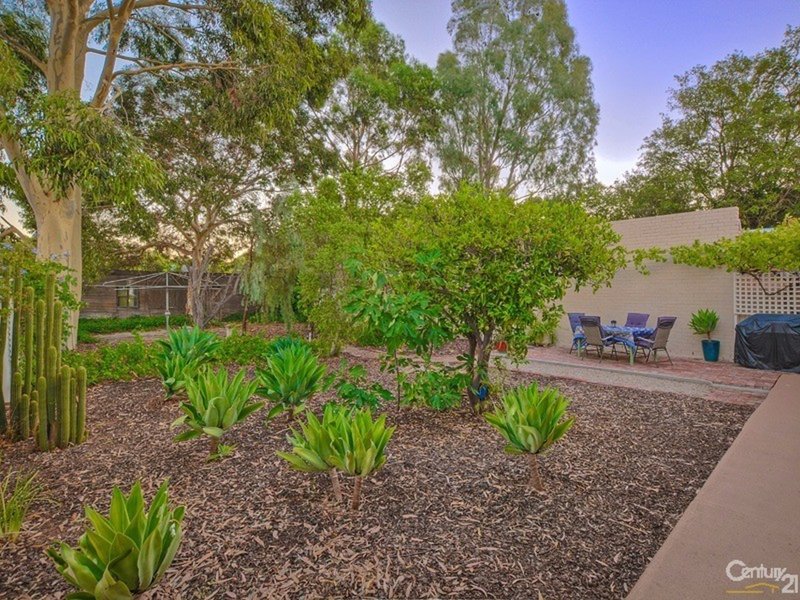 Photo - 45 Ormond Avenue, Daw Park SA 5041 - Image 6