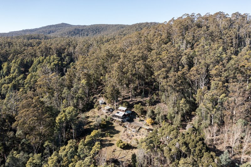 Photo - 45 Powers Road, Underwood TAS 7268 - Image 28