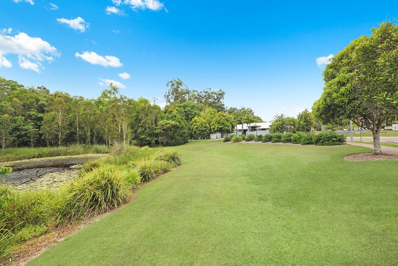 Photo - 45 Rainforest Sanctuary Drive, Buderim QLD 4556 - Image 4