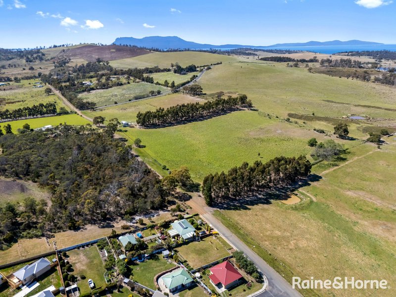 Photo - 45 Roberts Street, Triabunna TAS 7190 - Image 14