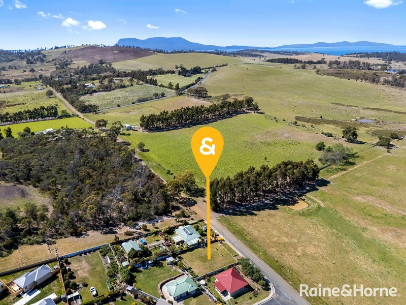 Photo - 45 Roberts Street, Triabunna TAS 7190 - Image 18