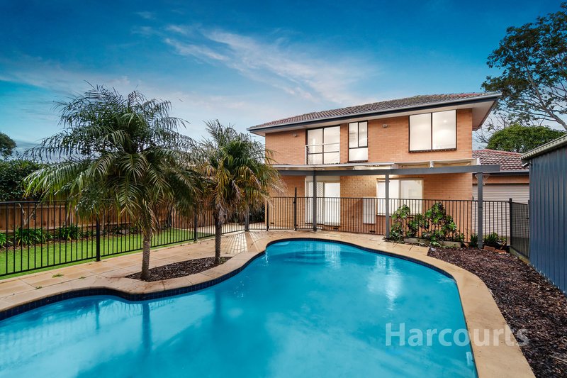 Photo - 45 Shetland Drive, Wantirna VIC 3152 - Image 12