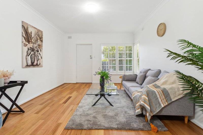 Photo - 4/5 Sturt Avenue, Toorak Gardens SA 5065 - Image 3