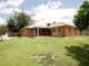 Photo - 45 Tamar Drive, Tatton NSW 2650 - Image 13