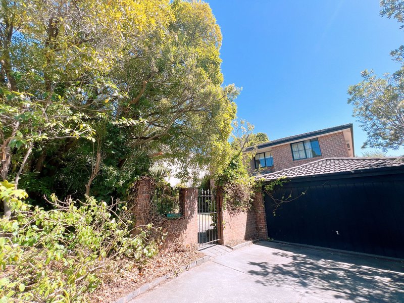 Photo - 45 Vincent Street, Glen Iris VIC 3146 - Image 3