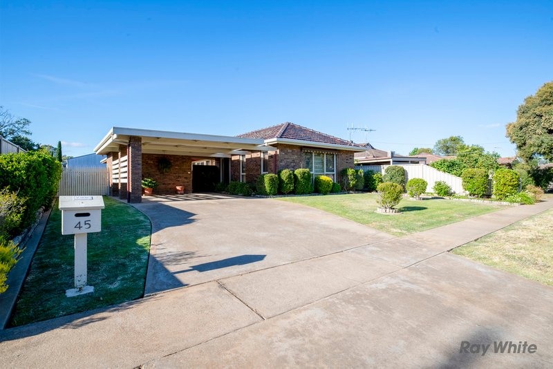 Photo - 45 Waller Street, Benalla VIC 3672 - Image 6