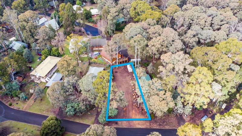 Photo - 45 Warrambat Road, Sawmill Settlement VIC 3723 - Image 4