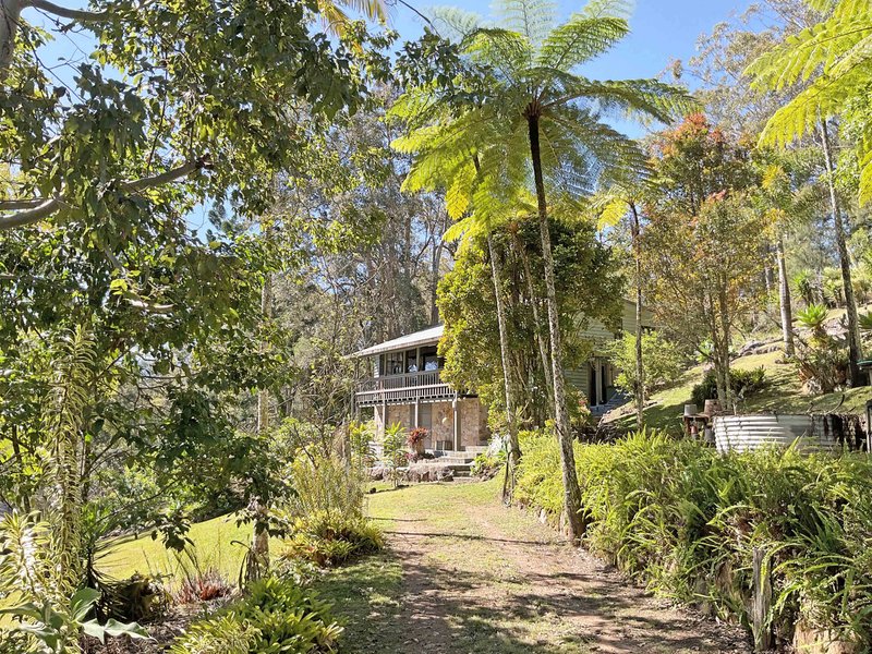 Photo - 45 Wayne Bishop Road, Wondecla QLD 4887 - Image 22