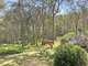 Photo - 45 Wayne Bishop Road, Wondecla QLD 4887 - Image 24