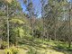 Photo - 45 Wayne Bishop Road, Wondecla QLD 4887 - Image 26