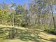 Photo - 45 Wayne Bishop Road, Wondecla QLD 4887 - Image 27