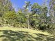 Photo - 45 Wayne Bishop Road, Wondecla QLD 4887 - Image 28