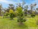 Photo - 45 Wild Wood Road, Meadow Flat NSW 2795 - Image 15