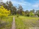 Photo - 45 Wild Wood Road, Meadow Flat NSW 2795 - Image 18