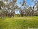 Photo - 45 Wild Wood Road, Meadow Flat NSW 2795 - Image 22