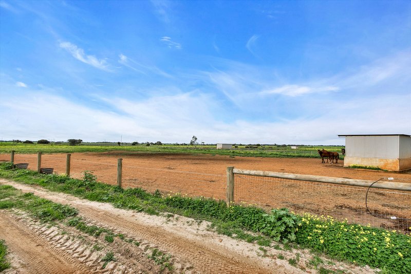 Photo - 45 Wylie Road, Lower Light SA 5501 - Image 32