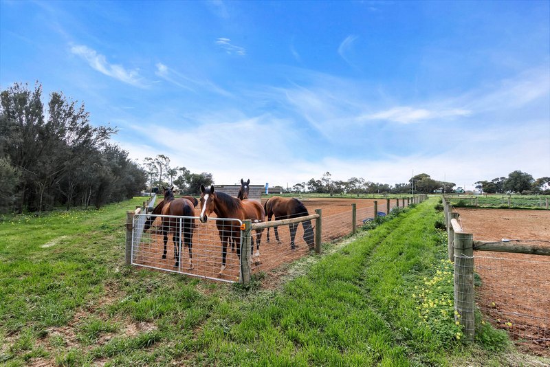 Photo - 45 Wylie Road, Lower Light SA 5501 - Image 33