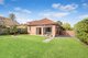 Photo - 45 Wyuna Avenue, Freshwater NSW 2096 - Image 6