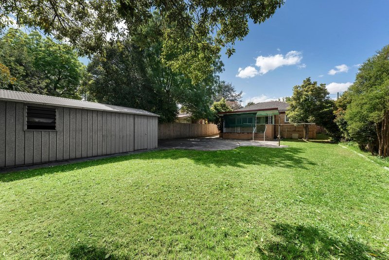 Photo - 451 Middleborough Road, Box Hill North VIC 3129 - Image 7