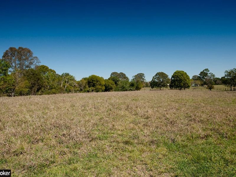 Photo - 451 Moore Road, Kurwongbah QLD 4503 - Image 25