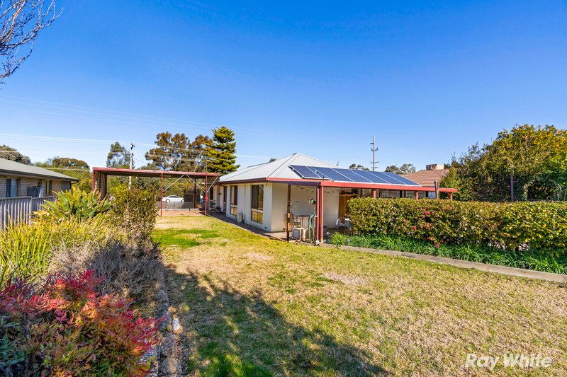 Photo - 452 Kooringal Road, Kooringal NSW 2650 - Image 14