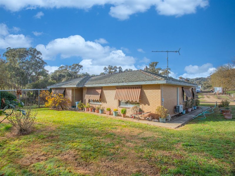 Photo - 452 Mcinnes Lane, Bobinawarrah VIC 3678 - Image 3