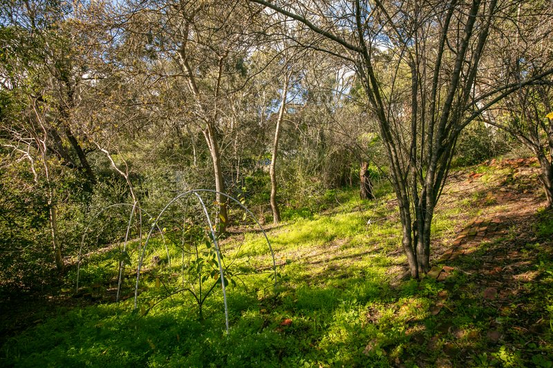 Photo - 453 Belair Road, Belair SA 5052 - Image 26