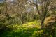 Photo - 453 Belair Road, Belair SA 5052 - Image 26