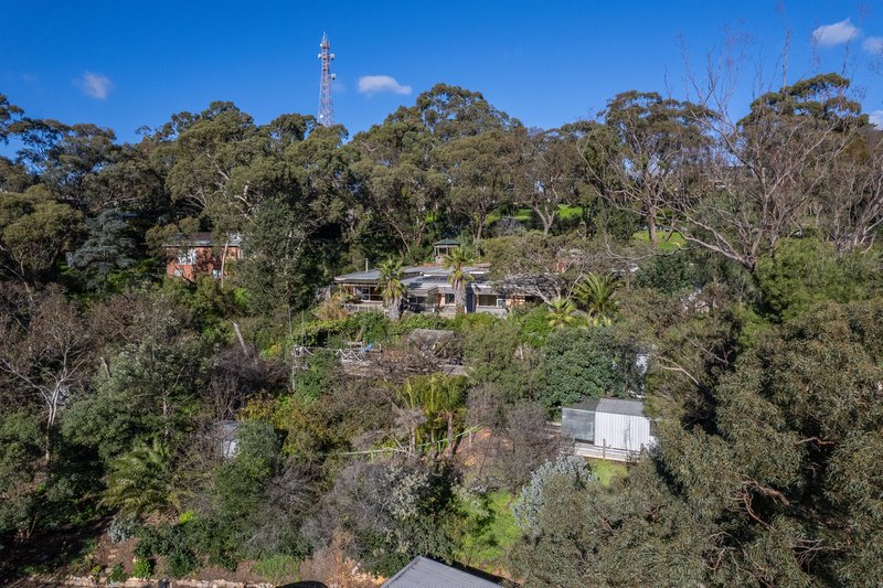 Photo - 453 Belair Road, Belair SA 5052 - Image 27