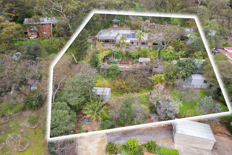 Photo - 453 Belair Road, Belair SA 5052 - Image 28