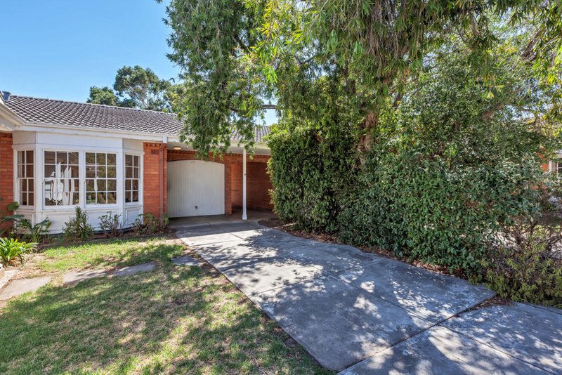 Photo - 4/53 Bevington Road, Glenunga SA 5064 - Image 2