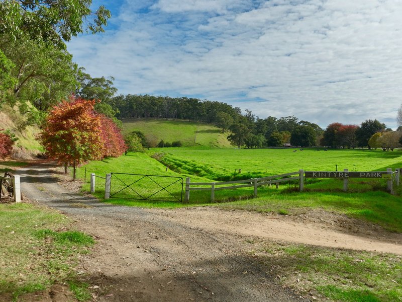 Photo - 453 Buchan-Orbost Road, Bete Bolong VIC 3888 - Image 2