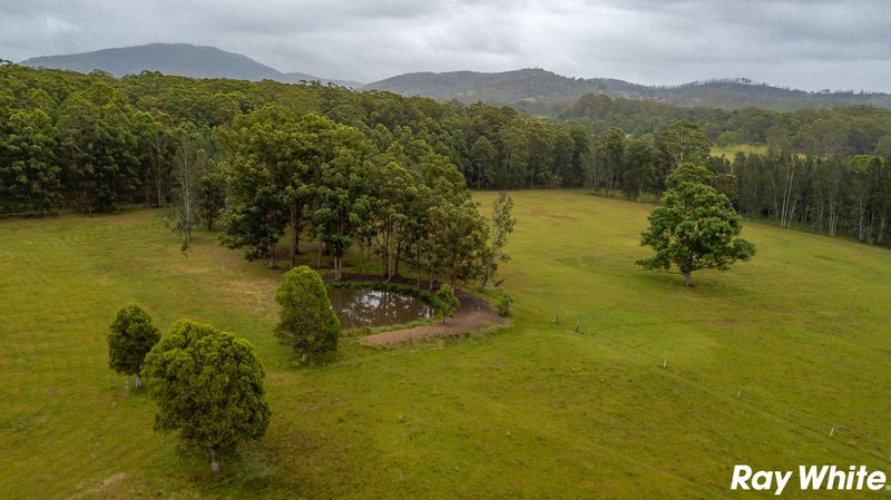 Photo - 453 Failford Road, Failford NSW 2430 - Image 2