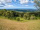 Photo - 453 The Panorama , Tallai QLD 4213 - Image 10