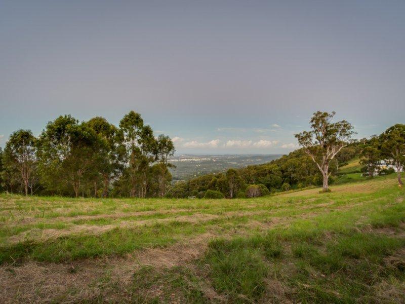 Photo - 453 The Panorama , Tallai QLD 4213 - Image 11