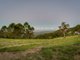 Photo - 453 The Panorama , Tallai QLD 4213 - Image 11